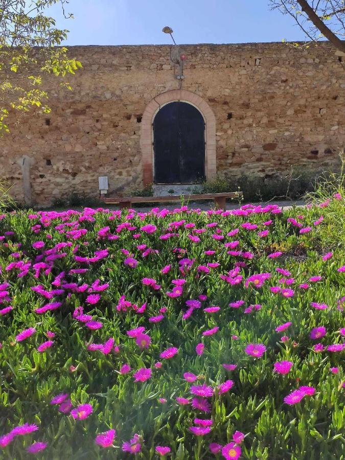 Finca Las Rosas De Santa Ana Villamartín Exterior foto