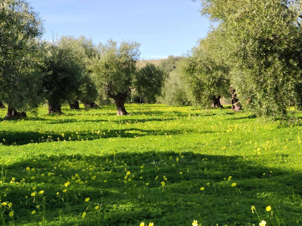 Finca Las Rosas De Santa Ana Villamartín Exterior foto