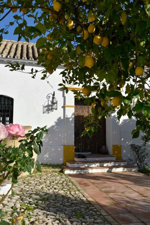 Finca Las Rosas De Santa Ana Villamartín Exterior foto