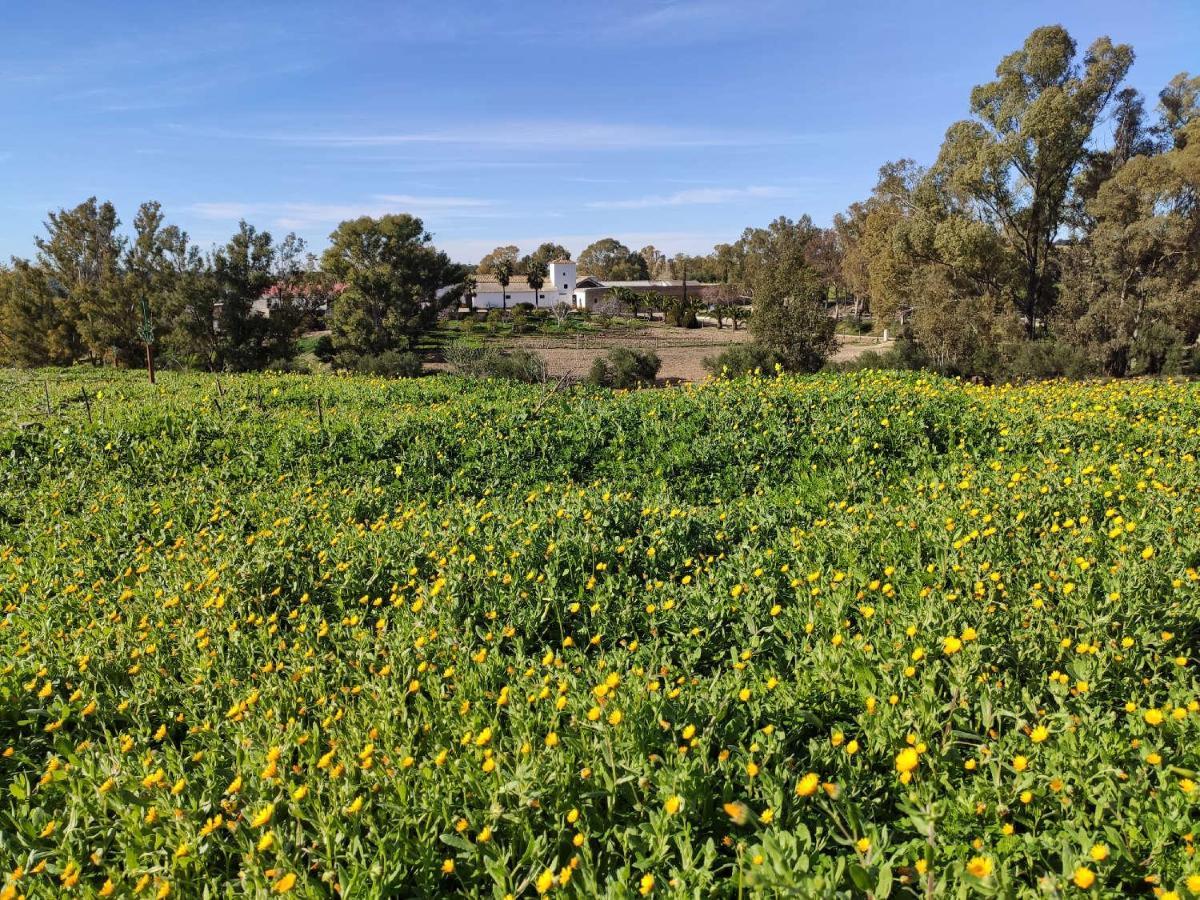 Finca Las Rosas De Santa Ana Villamartín Exterior foto